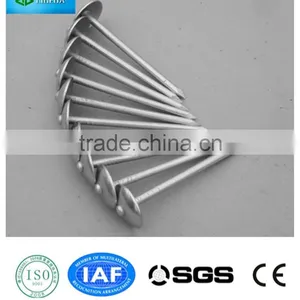 Hot Sale Roofing Nails/umbrella Head Nails thumbnail-1