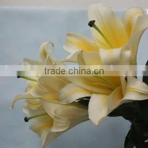 Exquisite Hot Selling Fresh Lilies Flower on Sale thumbnail-1