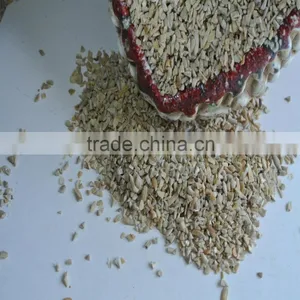 Sunflower Kernel Broken Seed for Animal thumbnail-3