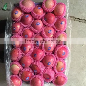 Export Qinguan Apple Company thumbnail-5