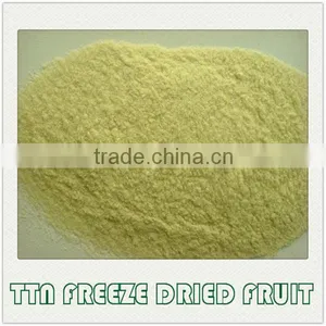 Spray Dried Fruit Powder thumbnail-2
