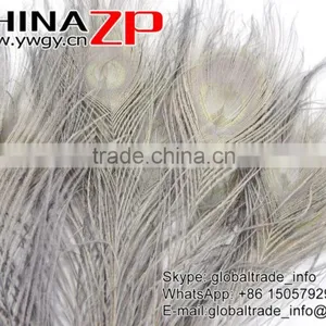 CHINAZP Leading Supplier Wholesale Cheap Full Eye Dyed Grey Long Peacock Tail Feathers thumbnail-3