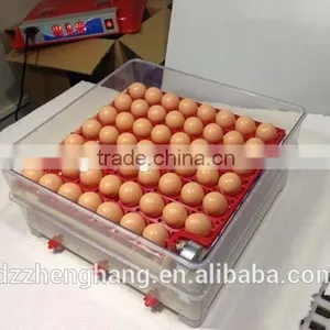 Solar Power Egg Incubator/hatcher Cheap Poultry Egg Incubators Prices thumbnail-5