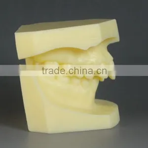 Malocclusion Classification Demonstration Model 2 thumbnail-4