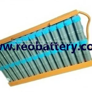 202V 6.0Ah Car Battery Pack thumbnail-1