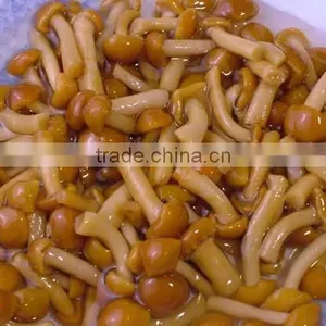 Best Canned Mushroom Wholesale thumbnail-1