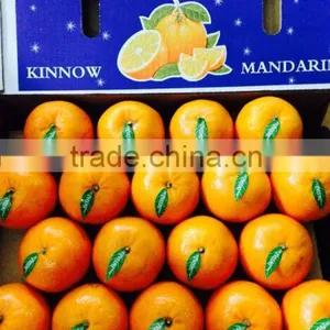 Kinnow Fresh Citrus Mandarin Orange thumbnail-1