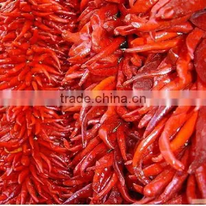 Dry Red Hot Chilli thumbnail-1