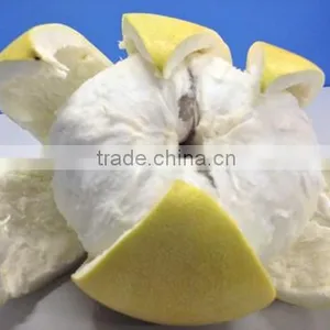 Late Honey Pomelo thumbnail-1