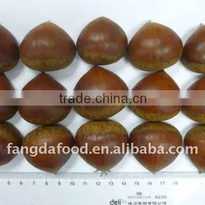 Check Quality First Jinhua Fresh Chestnut thumbnail-1
