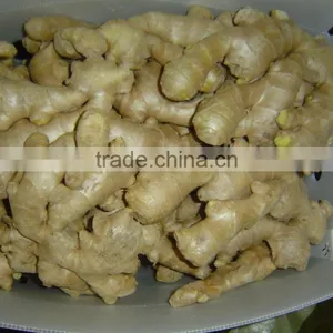 Air Dried Ginger thumbnail-5