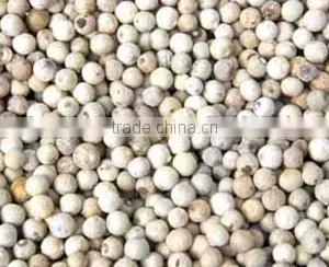 VIETNAM WHITE PEPPER 600 G/L; 630 G/L thumbnail-6