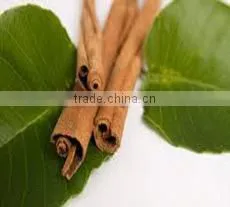 Cassia Oil thumbnail-1