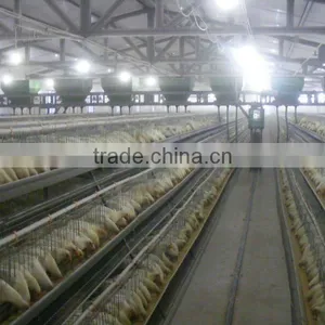 8 V-concentric Hoppers Automatic Feeding System thumbnail-1