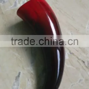 Polished Drinking Horn thumbnail-3