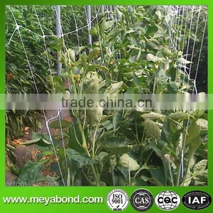 Green Plastic pe Plant Support Net, Anti Bird Net thumbnail-5