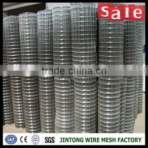 Iron Wire Fence Hot Dip Galvanized/pvc Coated Welded Wire Mesh Rolls thumbnail-2