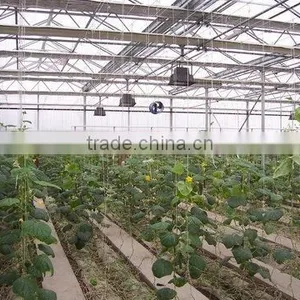 Vegetable Growing Greenhouse thumbnail-1
