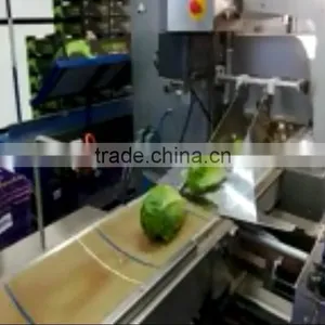 Automatic Turf Packing Machine thumbnail-3