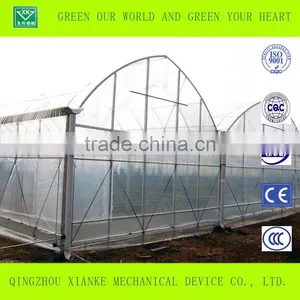 Agricultural Tunnel Arch Greenhouse Price thumbnail-1