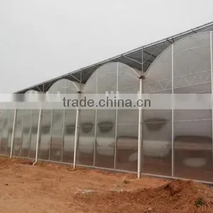 2016 Polycarbonate Greenhouse Restaurant thumbnail-2