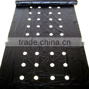 Agricultural Perforated Plastic Film Manufacturer thumbnail-4