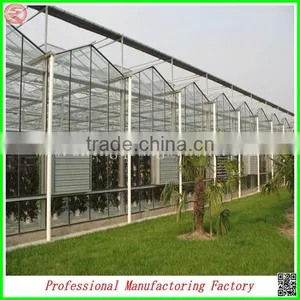 Economical Large Size Polycarbonate Greenhouse With Stable Aluminium Profiles thumbnail-1