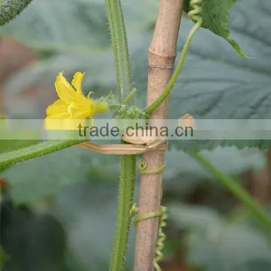 Paper Twist Tie With Plastic Net Bag thumbnail-3