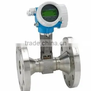 Proline Prowirl R 200 Vortex Flowmeter thumbnail-1