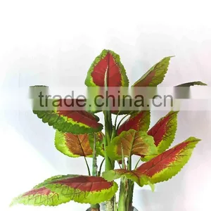 Mini Oramental Potted Plants thumbnail-1