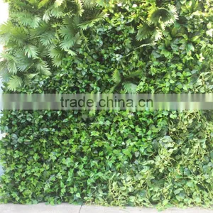 Hot Sale Eco-friendly PE Indoor Artificial Green Wall for Landscaping Decoration thumbnail-2