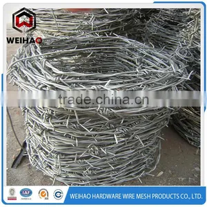 Reinforce and Firm Barbed Wire Used on the Wall thumbnail-3