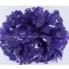 Poms(1) thumbnail-1