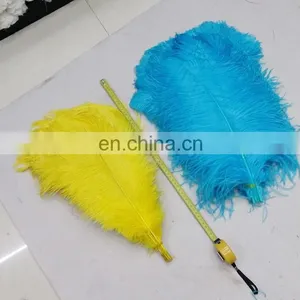 Wholesale South Africa Ostrich Feathers for Decoration Wedding Ostrich Feathers thumbnail-2