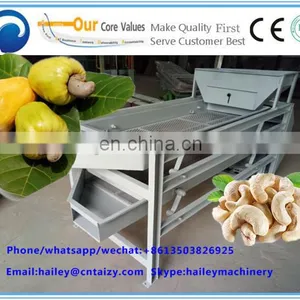 Cashew Nut Cleaning Machine thumbnail-6