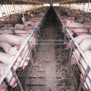 Low Cost Pig Farm House Building Construction Professional Design for Pig House thumbnail-2