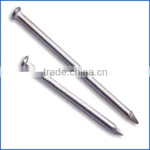 Common Nails for Construction Usage Iron Nails thumbnail-1