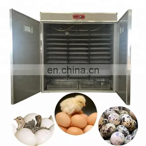 High Quality Automatic Egg Incubator in Uae thumbnail-1