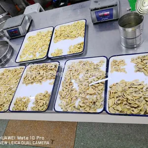 Canned Mushrooms Slices thumbnail-2