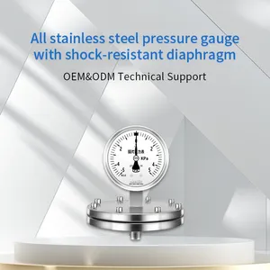 Diaphragm Thread 14*1.5 Stainless Steel 316L Shock, Corrosion and High Temperature Diaphragm Pressure Gauge thumbnail-5