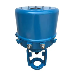 Bernard Electronic Electric Actuator 381LSA-08 Linear Electric Control Valve 381LXA-08 381LSA-20 381LXA-200 thumbnail-1