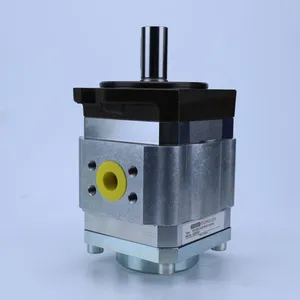 Gear Pump PGI102-3-020-RK23-10-6100 PGI PGI101 PGI102 PGI103 Series Internal Hydraulic Gear Pump PGI101-3-020-RK23-10 thumbnail-2