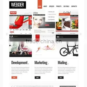 Professional Social Media Optimization Services in India thumbnail-6
