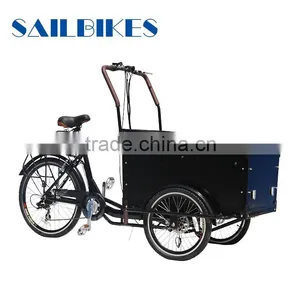 Family Cargo Bike Dutch Tricycle for Kids thumbnail-4