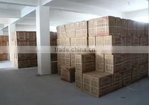 Wenling Blue Sky Plastic Shoes Co., Ltd. company overview - view 4 thumbnail
