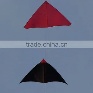 3m Delta Kite thumbnail-1