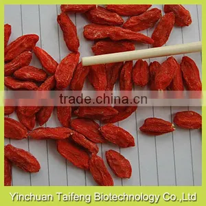 Gojiberry From Manufacturer thumbnail-1