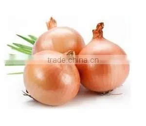 Organic Fresh Onions thumbnail-1