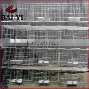 BAIYI Mesh Company Rabbit Cage Industrial Sale High Quality Wire Mesh Commercial Rabbit Cage thumbnail-3
