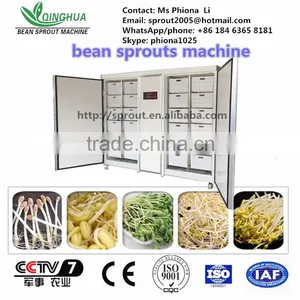 Automatic Sprout Machine/mung Bean/black Soya Bean thumbnail-1